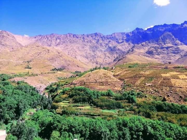Atlas Views امليل المظهر الخارجي الصورة